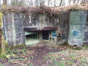 westwall guided tours, siegfried line tours, dragons teeth, hurtgen forest tours, aachen tours, roetgen, der buhlert, german bunkers, oberotterbach