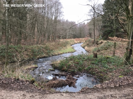 Hurtgen Forest Guided Battlefield Tours, Weiser Weh, Hurtgenwald, WW2 Tours