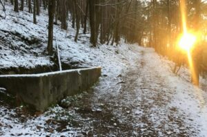 siegfried line guided tours, westwall tours, oberotterbach, dragons teeth, steinfeld, bad bergzabern, ww2 guided tours germany, hurtgen forest tours, aachen tours