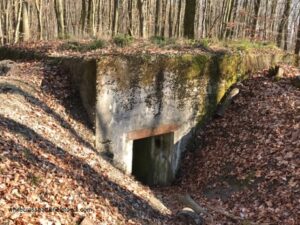 westwall tours, siegfried line tours, german ww2 bunkers, dragons teeth, saarbrucken westwall, spicheren heights, hockerlinie, aachen tours