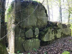 korkerwald, kehl, rhein tours, german bunkers by the rhein, things to do strasbourg,Tuttlingen Tours, WW2 Tours Tuttlingen, Baden Wurttemberg Tours, Donau Tours, Honberg Castle History Tours