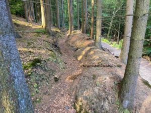 HURTGENWALD GUIDED TOURS, HURTGEN FOREST TOURS, WW2 TOURS AACHEN, ROETGEN, WW2 BATTLEFIELD TOURS