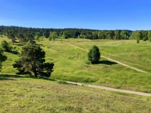 brenig ww2, stolberg corridor, ww2 tours, hurtgenwald guided tours